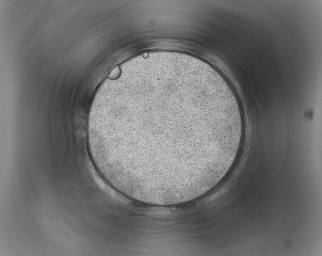 X0000112921049200910051103