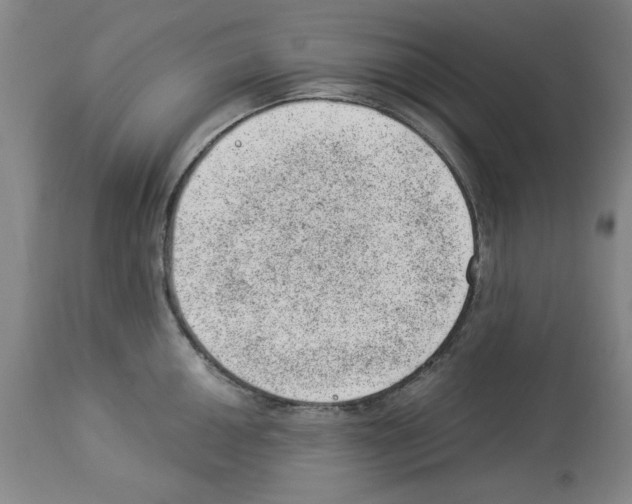 X0000112921050200910051103