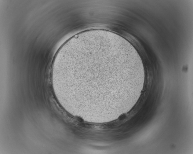 X0000112921052200910051103