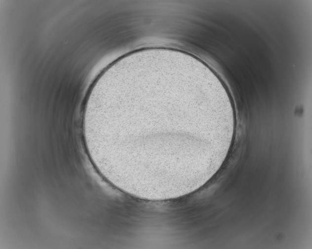 X0000112921053200910051103