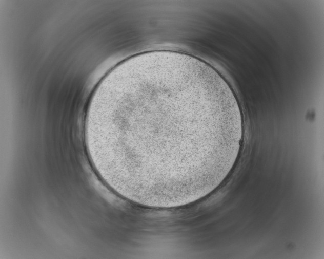 X0000112921054200910051103
