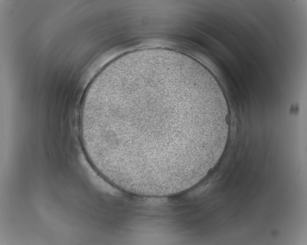 X0000112921055200910051103