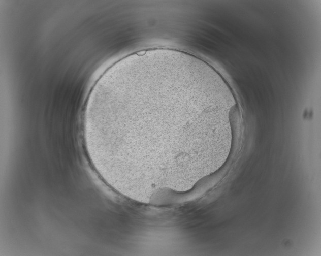 X0000112921056200910051103