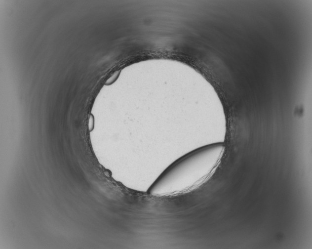 X0000112921057200910051102