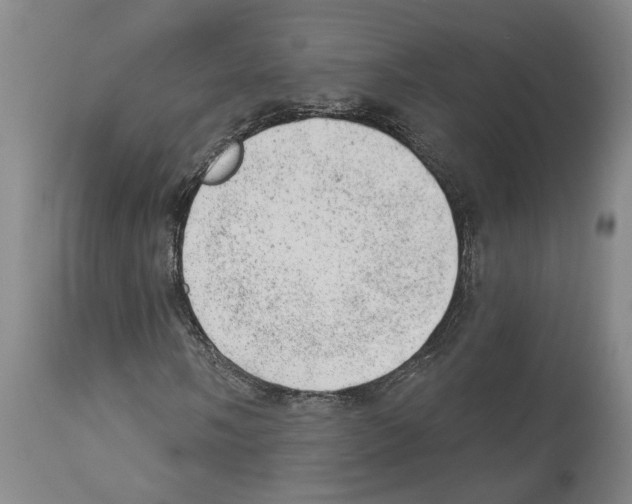X0000112921058200910051102