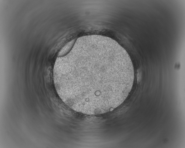 X0000112921059200910051102