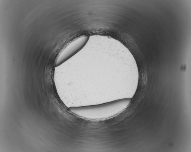 X0000112921060200910051102