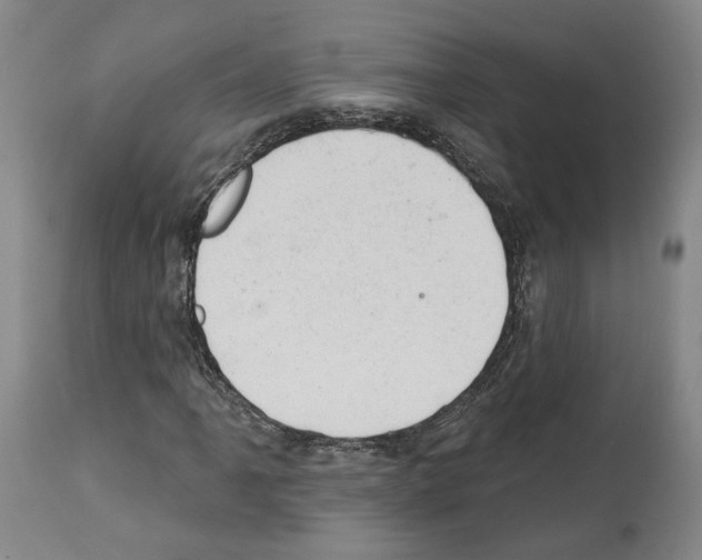 X0000112921061200910051102