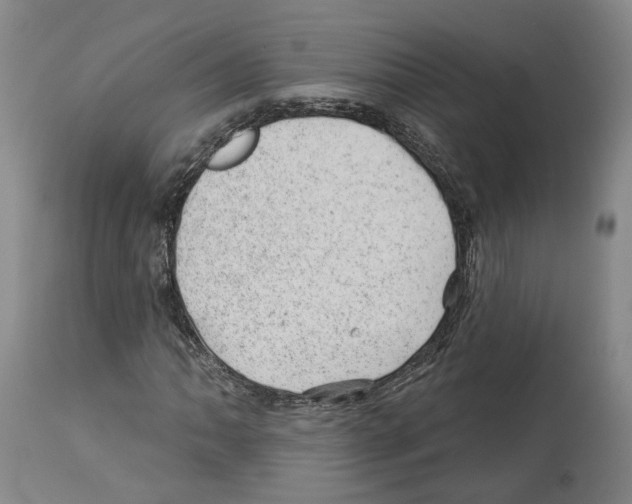 X0000112921062200910051102