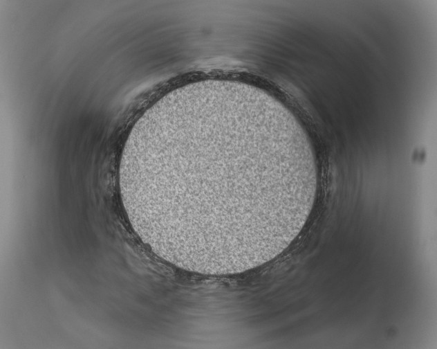 X0000112921063200910051102