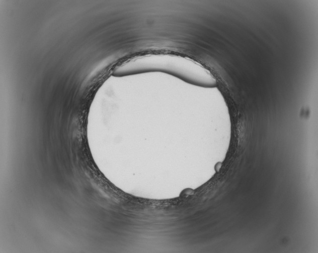 X0000112921064200910051102