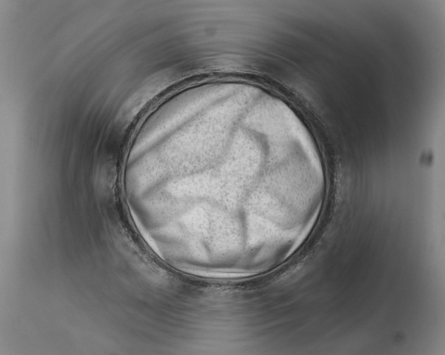 X0000112921065200910051102