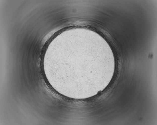 X0000112921066200910051102