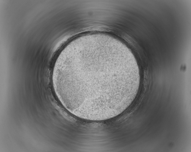X0000112921067200910051102