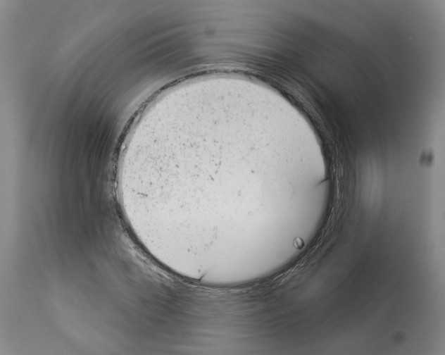 X0000112921068200910051102