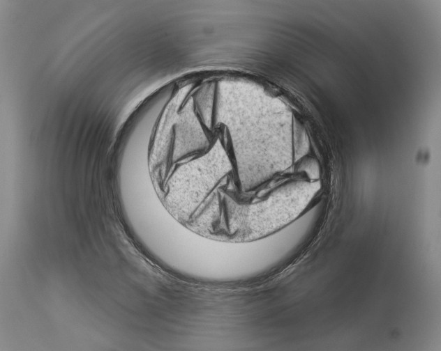 X0000112921069200910051102
