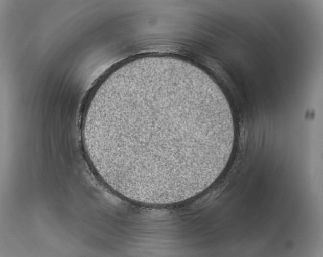 X0000112921071200910051102