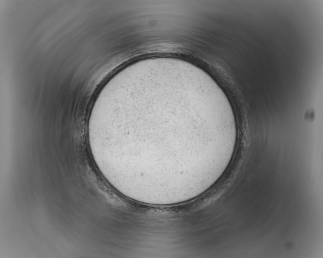 X0000112921073200910051102