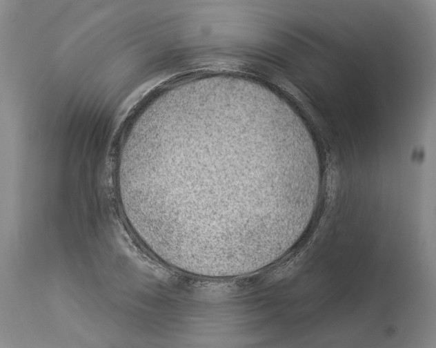 X0000112921074200910051102