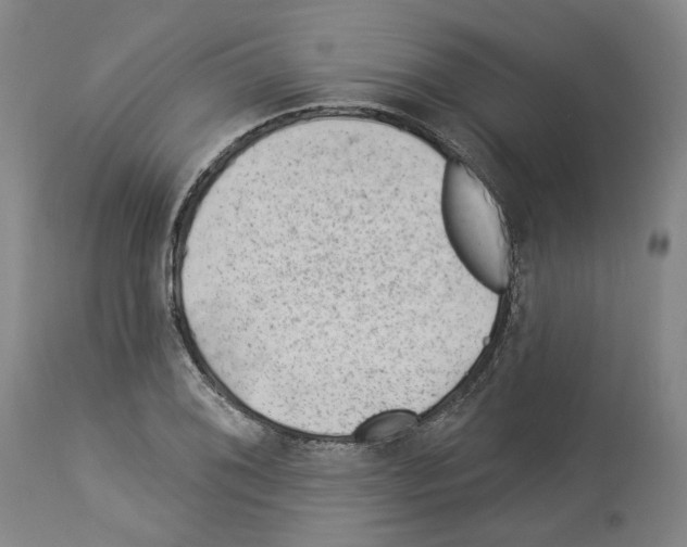X0000112921076200910051102