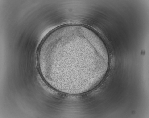 X0000112921078200910051102