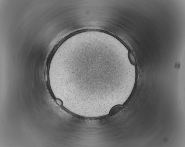 X0000112921080200910051102