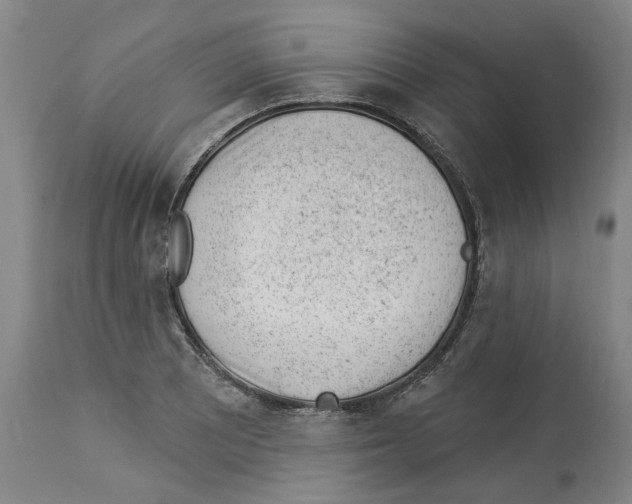 X0000112921081200910051102