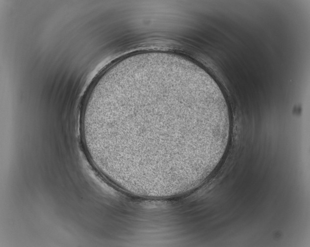 X0000112921083200910051102