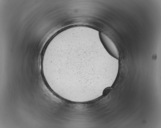X0000112921084200910051102