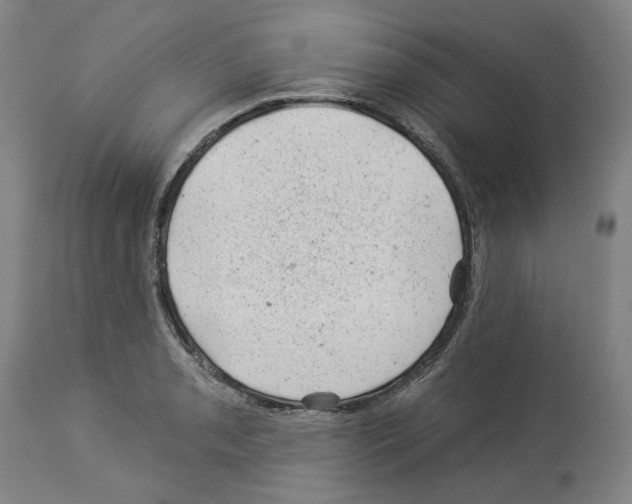 X0000112921085200910051102