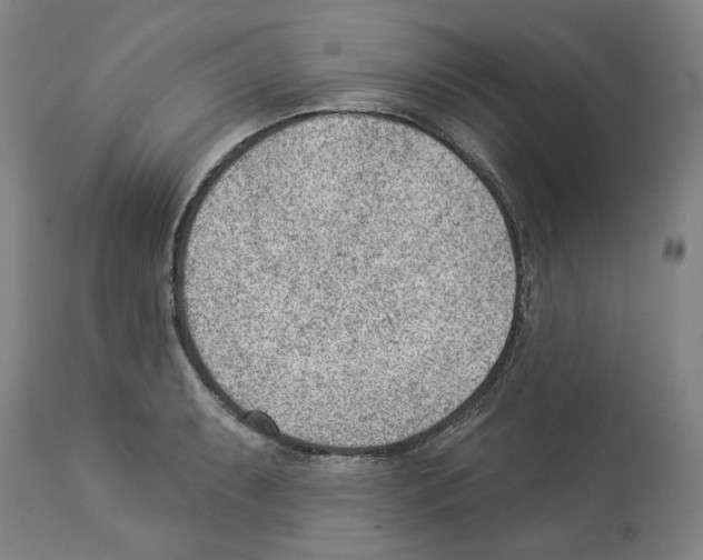 X0000112921087200910051102