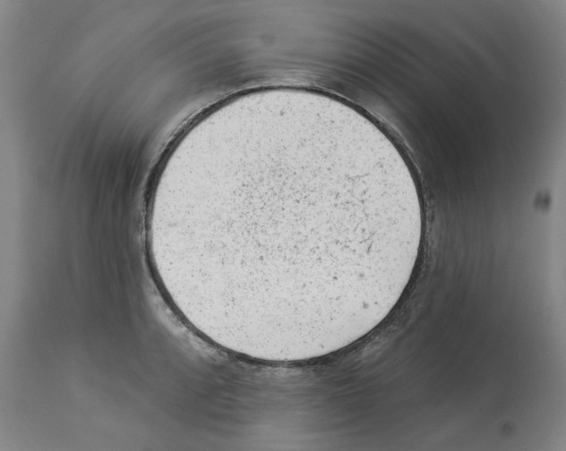 X0000112921088200910051102