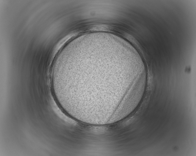 X0000112921090200910051102
