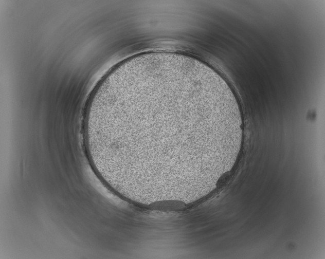 X0000112921091200910051102