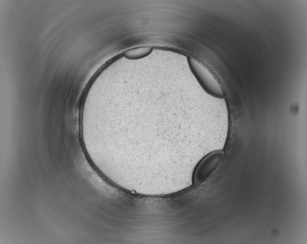 X0000112921092200910051102