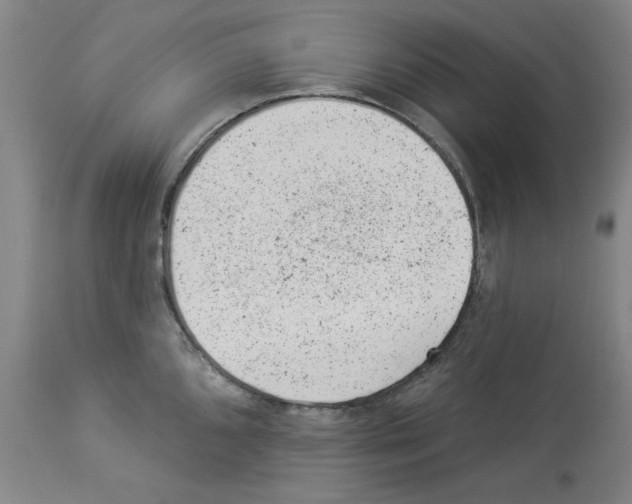 X0000112921096200910051102