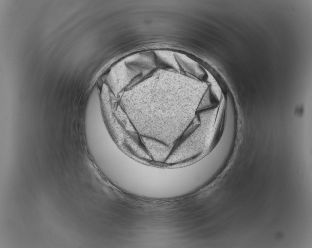 X0000112921097200910051102
