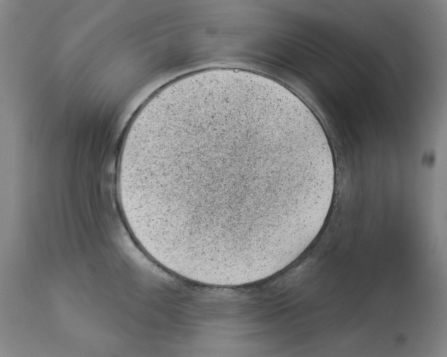 X0000112921100200910051102