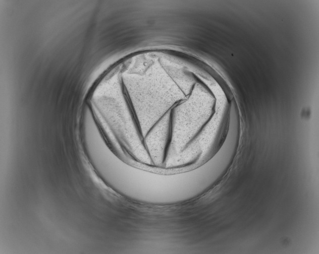 X0000112921101200910051102