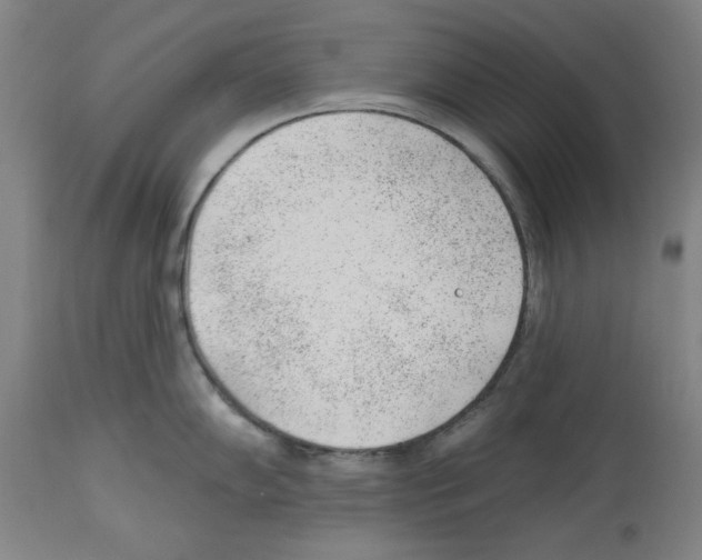 X0000112921102200910051102