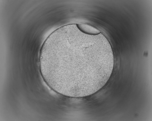 X0000112921103200910051102