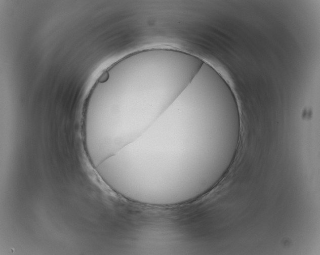X0000112921104200910051102