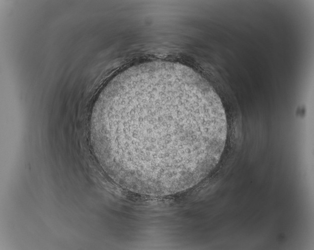 X0000112921105200910051101