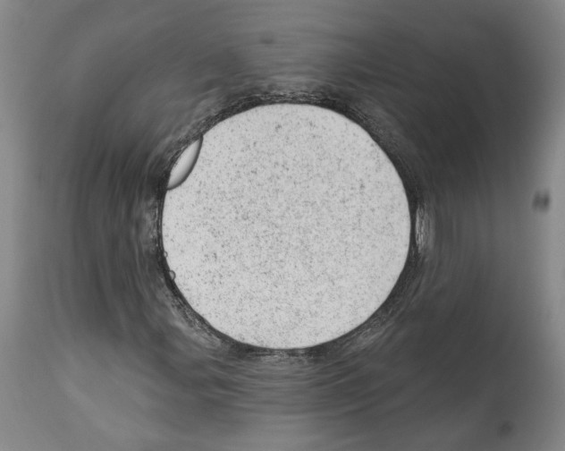 X0000112921107200910051101