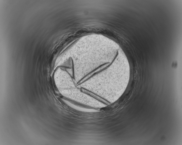 X0000112921108200910051101