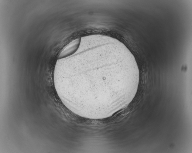 X0000112921109200910051101