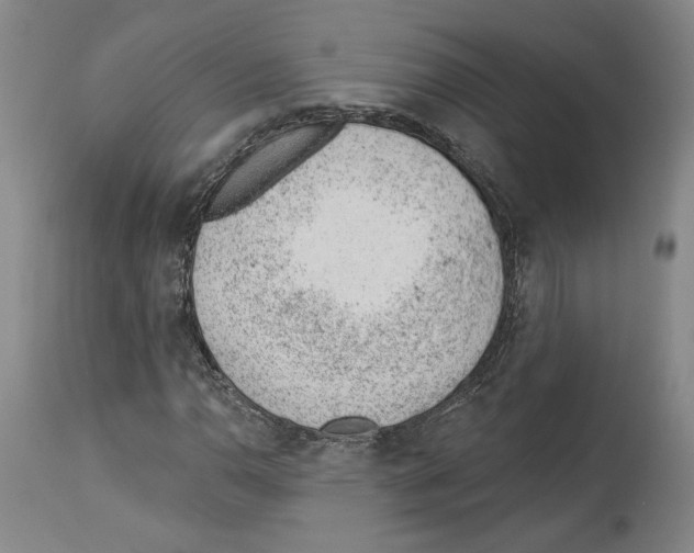 X0000112921110200910051101