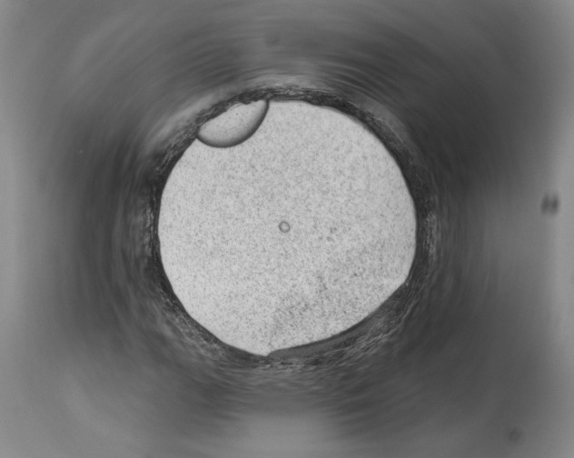 X0000112921111200910051101