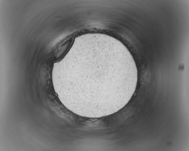 X0000112921112200910051101