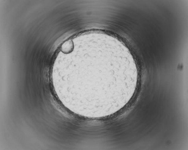 X0000112921113200910051101